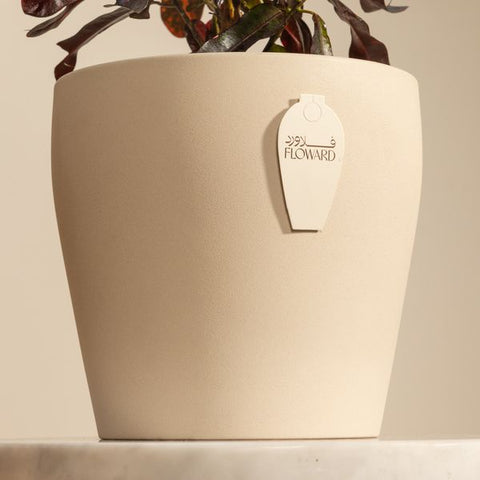 Warm Croton Mammy Plant Pot
