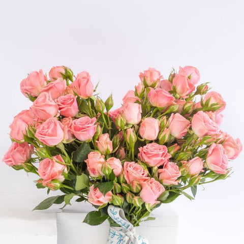 Pink Heart | Baby Roses