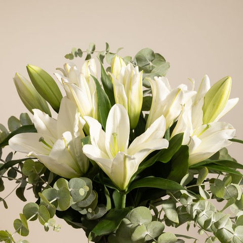 Lilly & Eucalyptus | Bouquet